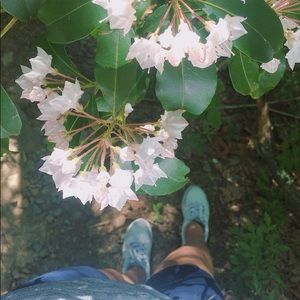 Meet your Posher, Chyna